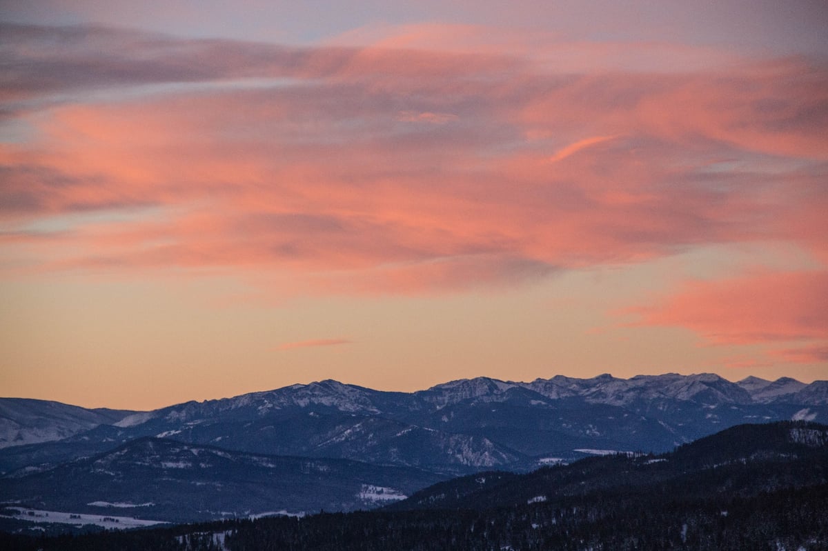 plumes-of-orange-1